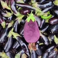 عروسک|اسباب‌‌بازی|اصفهان, جلفا|دیوار