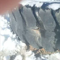 لاستیک|خودرو سنگین|فلارد, |دیوار