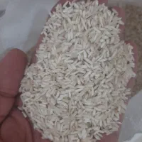 برنج طارم هاشمی