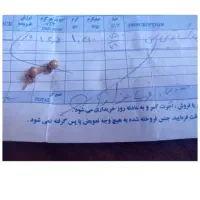 گوشواره