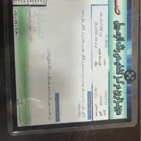 206sdصندوق دار|خودرو سواری و وانت|گرگان, |دیوار