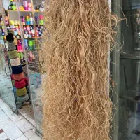 رافیا طبیعی