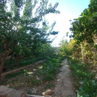 فروش یک باب خانه باغ|فروش دفتر صنعتی، کشاورزی، تجاری|کشکسرای, |دیوار