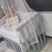 تخت خواب|تخت و صندلی بچه|پلدختر, |دیوار