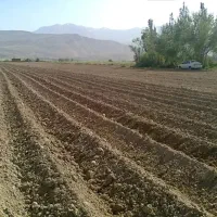 فروش-زمین-مسکونی-به-صورت-خام-به-متراژ-حدود-1082متر