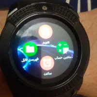 عروس هلندی  معاوضه با سره قناری طوطی توضیحاتو بخون|پرنده|تهران, شادمان|دیوار