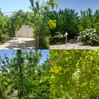 به یک نفر خانم جهت نگهداری از باغ ویلا|استخدام سرایداری و نظافت|شاندیز, |دیوار