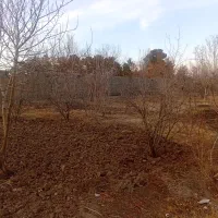 اجاره باغ|اجارهٔ کوتاه‌مدت ویلا و باغ|جوادآباد, |دیوار