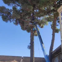 جرثقیل کوچک نیسان بالابر|خدمات پیشه و مهارت|نیشابور, بنیاد شهید|دیوار