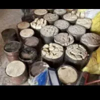 خرید کاتالیزور داف مان آف هاش فوتون رنو تی ایسوزو