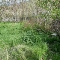 باغ|فروش خانه و ویلا|باسمنج, |دیوار
