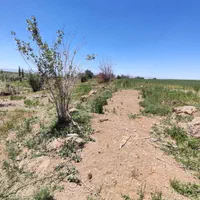 23هکتار 4000باغ انگور بادام 600مت زمین دامداری خون|فروش زمین و ملک کلنگی|ابهر, |دیوار