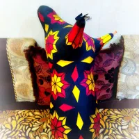 نی انبان طرحدار حرفه ای