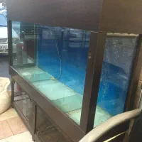 آکواریوم سالم و قیمت مناسب|ماهی|تهران, جوادیه تهرانپارس|دیوار