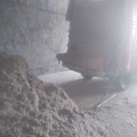 کاه طوفالی نیشکرامیدیه