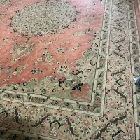 دوعدد فرس ۱۲متری