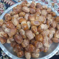 خرما ‌وقهوه هسته خرماموقعیت مشهد