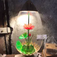 چراغ حیاطی و لوستر نو