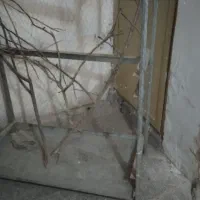 123|لوازم جانبی حیوانات|تربتحیدریه, شهرک ولیعصر|دیوار