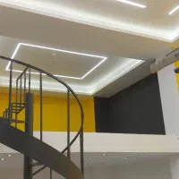 استاد کار نقاش