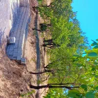 فروش باغ نزدیک پل زمانخان|فروش دفتر صنعتی، کشاورزی، تجاری|زاینده رود, |دیوار