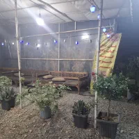 شریک جهت راه اندازی مغازه آبمیوه بستنی