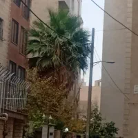 آپارتمان-اجاره-ای