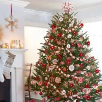 تور گروهی شاد ارمنستان (شب ژانویه)