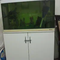 آکواریوم ماهیران