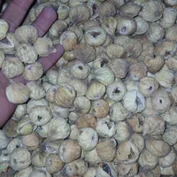 قیصی مرندی درجه یک|خوردنی و آشامیدنی|تهران, اوین|دیوار