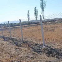 فنس کشی نصف فنس|خدمات باغبانی و درختکاری|رباطکریم, شترخوار|دیوار