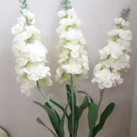 گلها همه نو جدید|گل مصنوعی|مشهد, گوهرشاد|دیوار