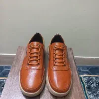 کفش|کیف، کفش، کمربند|اصفهان, پروین|دیوار