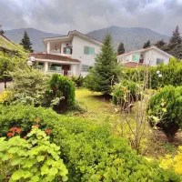 فک کن تو عمارتتی و هرروز صدای پرنده هابیدارت میکنه