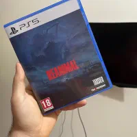 دیسک بازی Reanimal ps5
