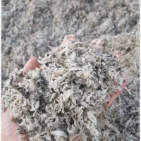 تفاله چغندر خشک و بی آب|عمده‌فروشی|ملایر, |دیوار