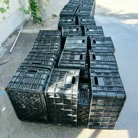 سبد گوجه فرنگی