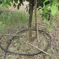 ۲۷۰مترباغچه‌الحاق‌ب‌بافت|فروش زمین و ملک کلنگی|کیاکلا, |دیوار