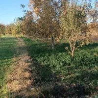 باغچه الوان|فروش دفتر صنعتی، کشاورزی، تجاری|نوشین شهر, |دیوار