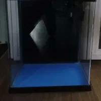 آکواریوم شرکتی AOUA