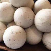 سنگ الماس آسیاب طبیعی