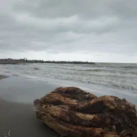 حمل مسافر به سراسر نقاط ایران