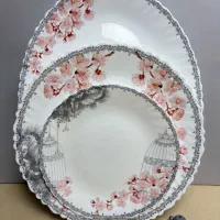 ظروف چینی