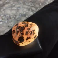 سنگ قیمتی|کلکسیون اشیاء عتیقه|باغستان, |دیوار