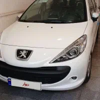 ۲۰۷پانا خشک