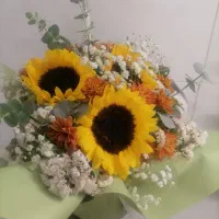 گل آفتاب گردون