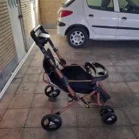 کالسکه بنیتا دلیجان