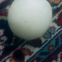 سنگ آسیاب