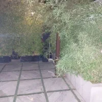 165-متر-کلنگی-جواز-ساخت-5-ط-کلیم-کاشانی