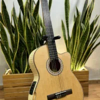 گیتار آرمونیا